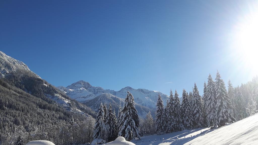 Haus Viehhauser Kleinarl Buitenkant foto